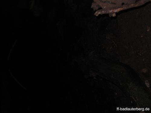 2011_06_02 Waldbrand Kummel Richtung Bismarkturm 16